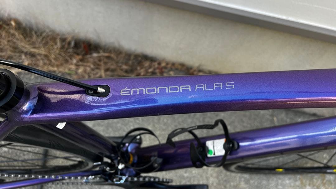 TREK Émonda ALR 5 パープル ロードバイク