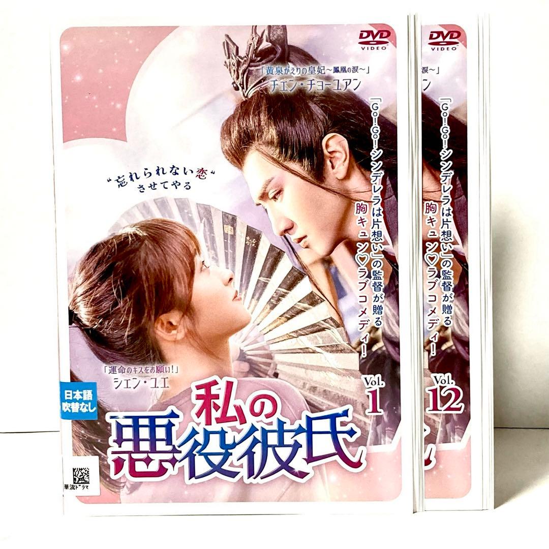 私の悪役彼氏 DVD 全12巻セット チェン・チョーユアン シェン・ユエ