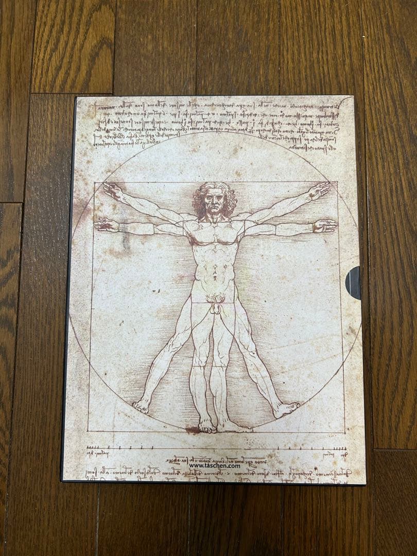 レオナルドダヴィンチ 画集