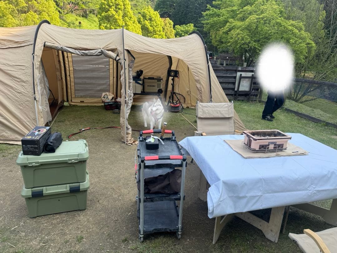 dod カマボコテント 3Ｍ　カママット付き