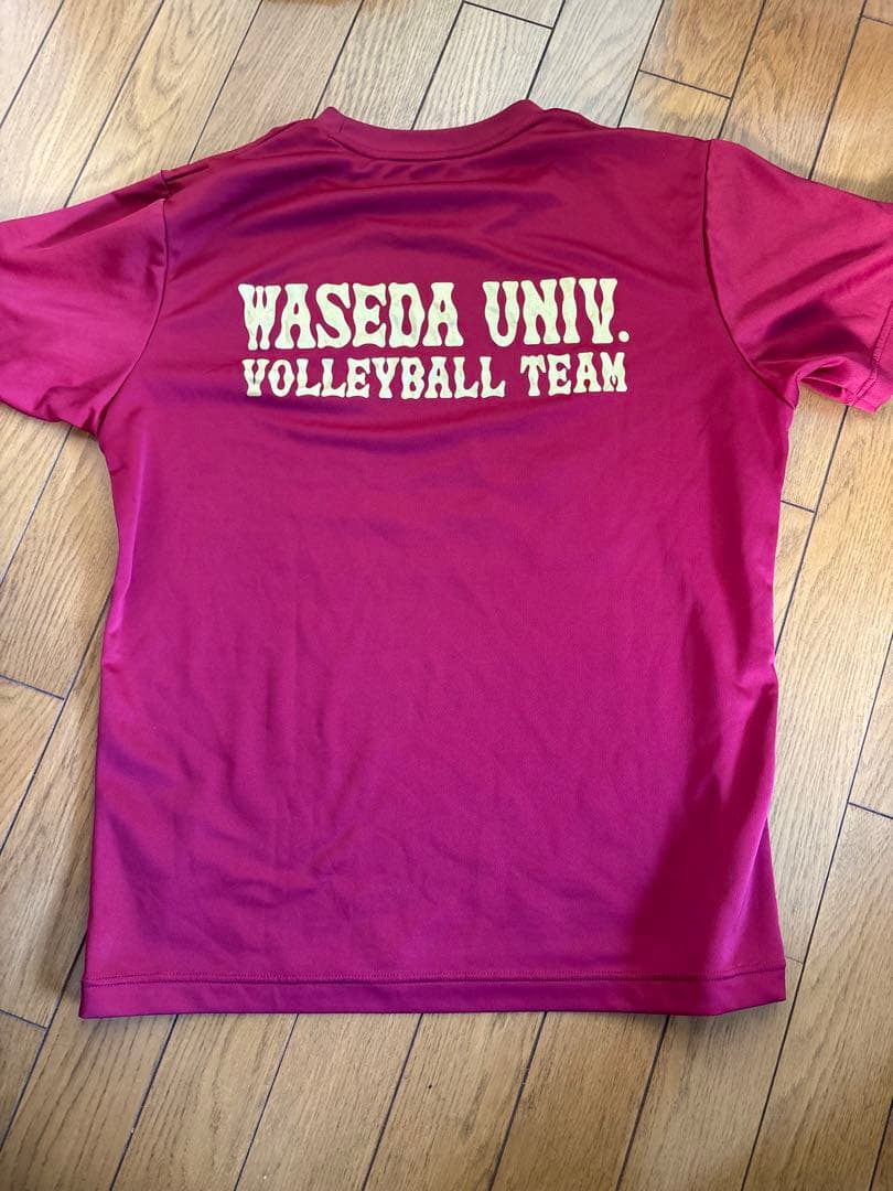 早稲田大学 バレーボールTシャツ