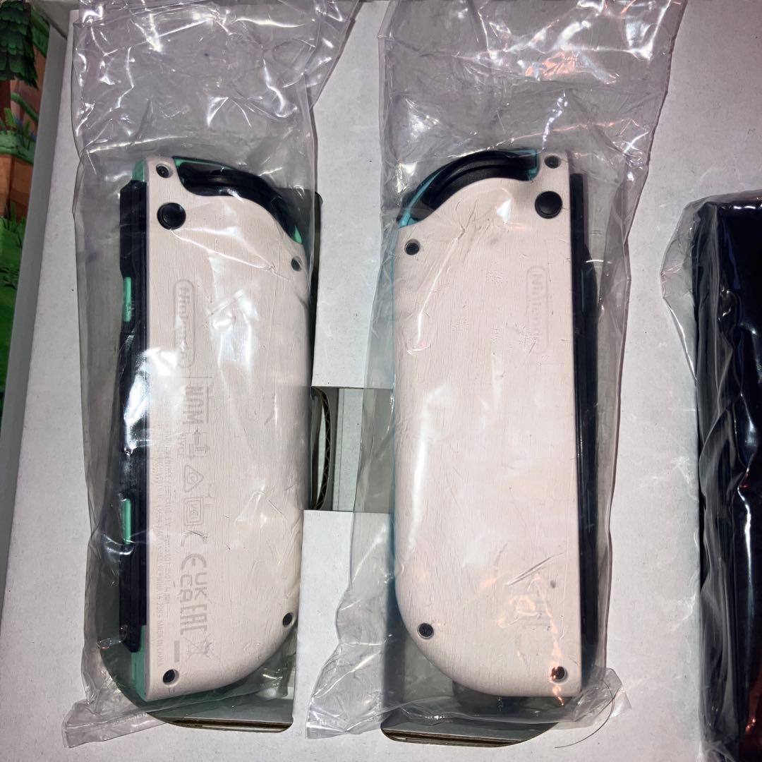 あつまれ どうぶつの森 Nintendo Switch 本体