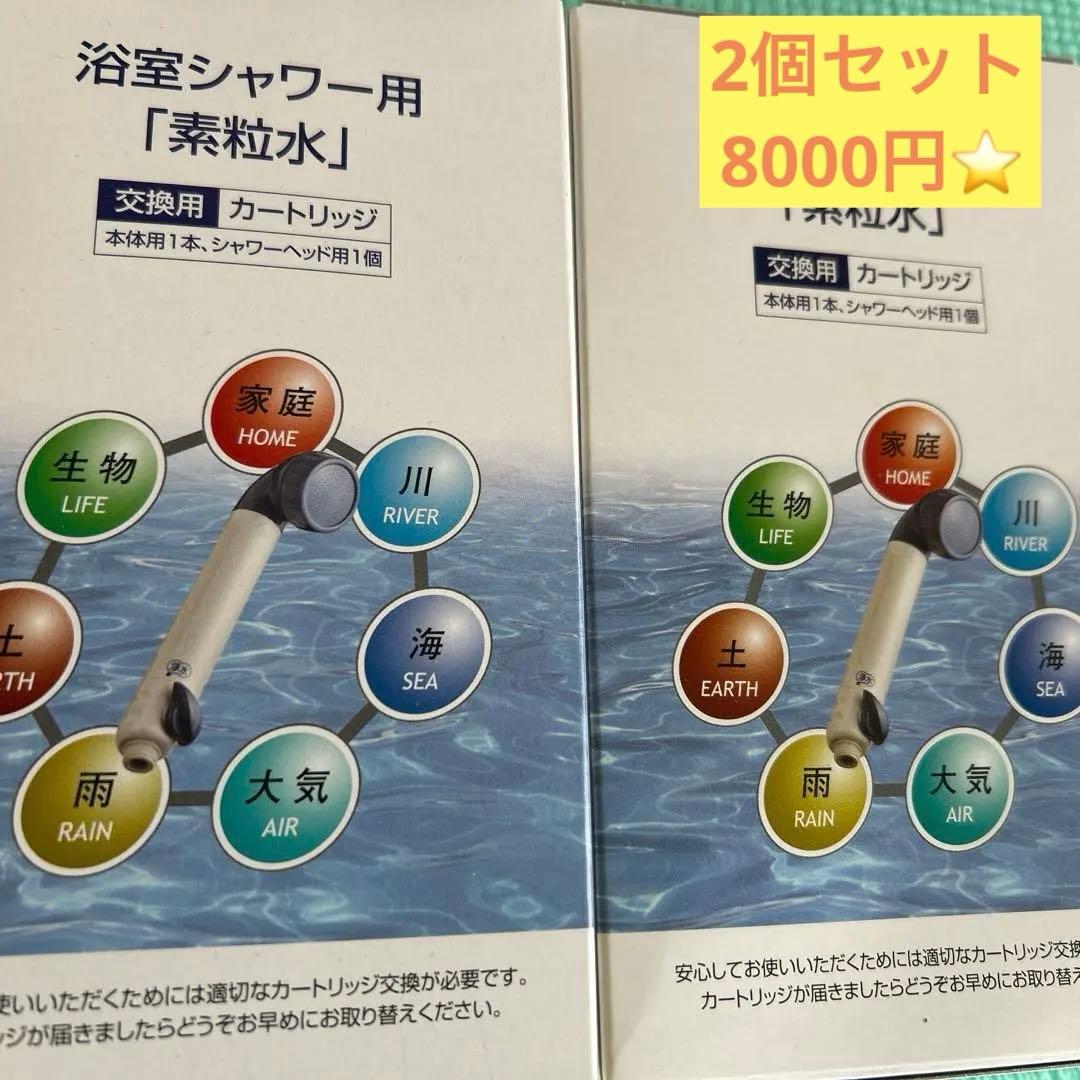 素粒水　シャワー用浄水器カートリッジ 2セット