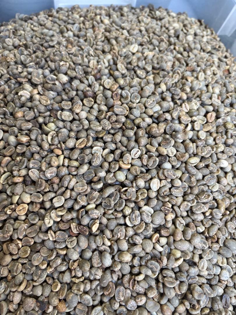 【コーヒー生豆】1.5kg/４種合計6kg ※送料無料