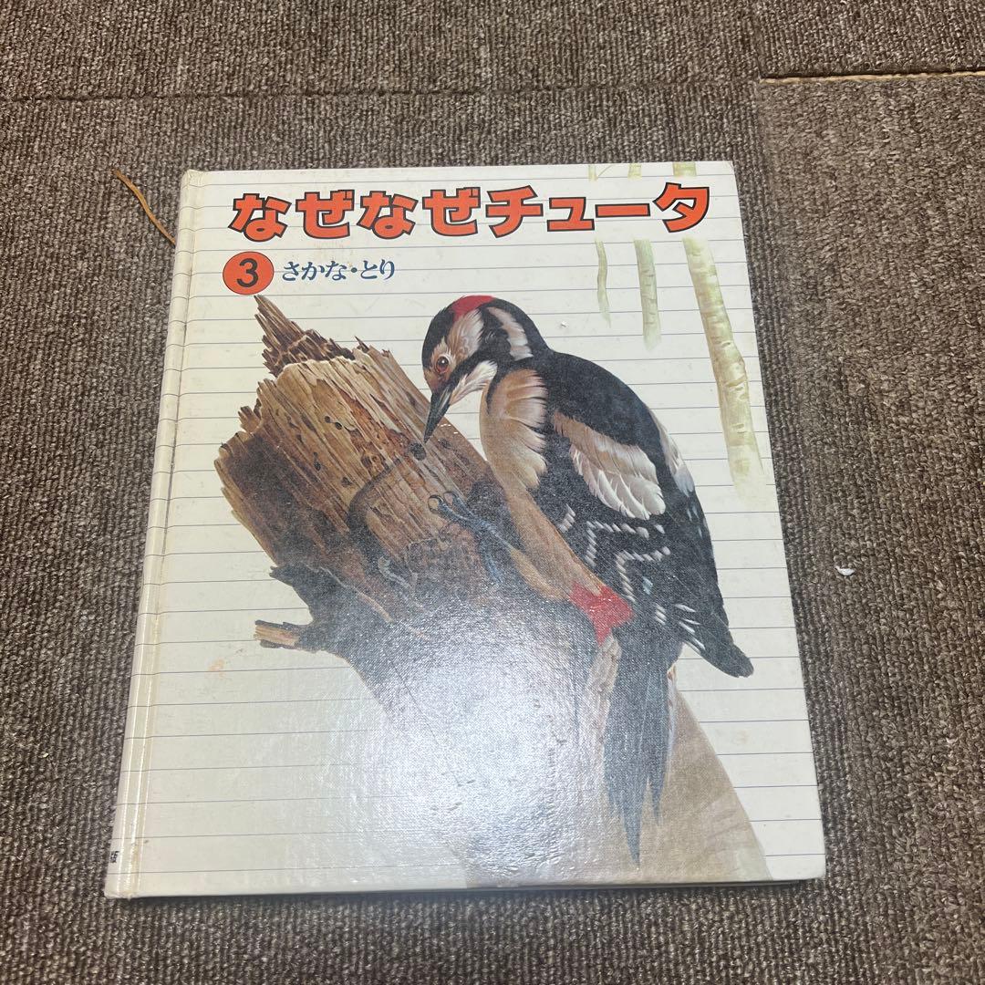 なぜなぜチュータ1〜15図鑑