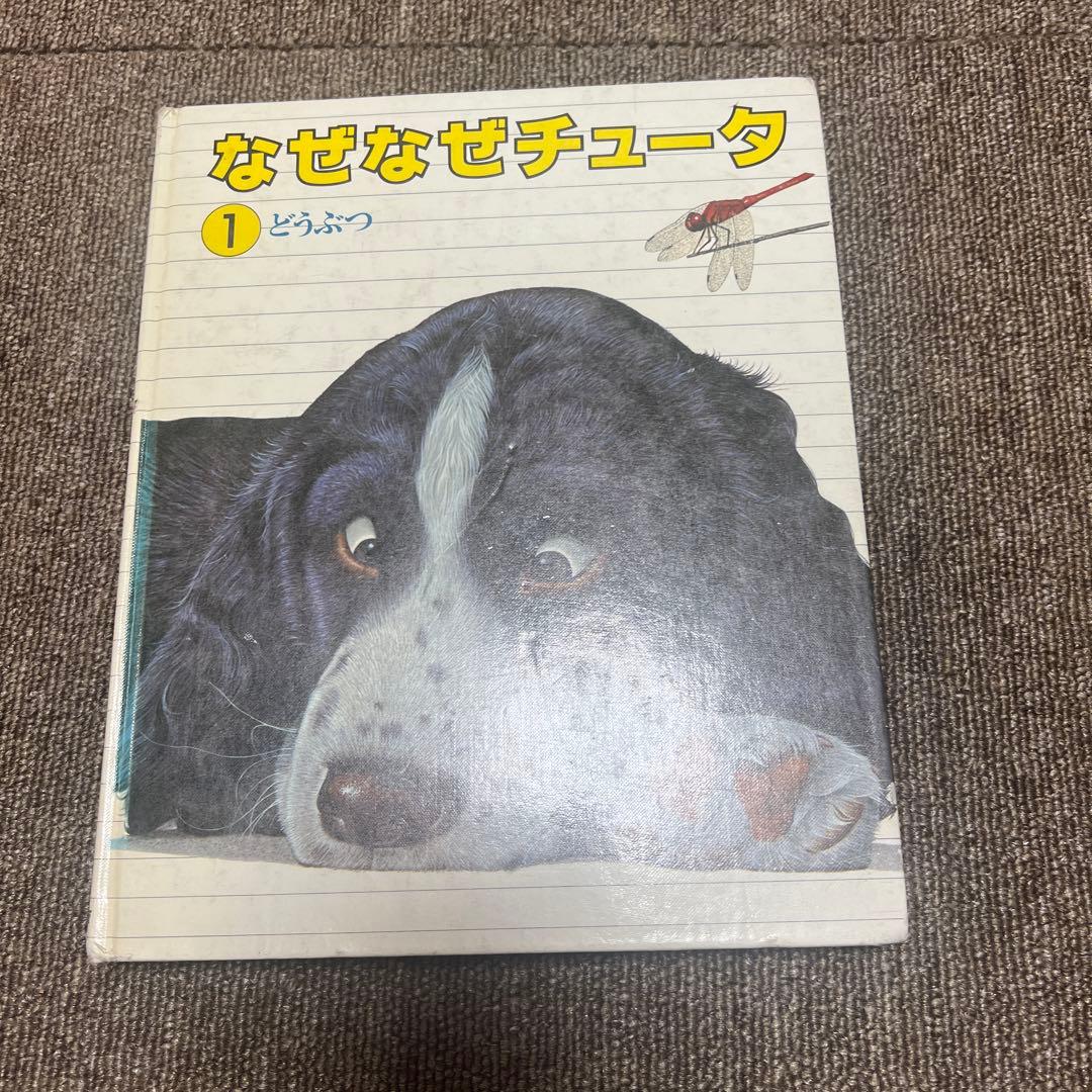 なぜなぜチュータ1〜15図鑑