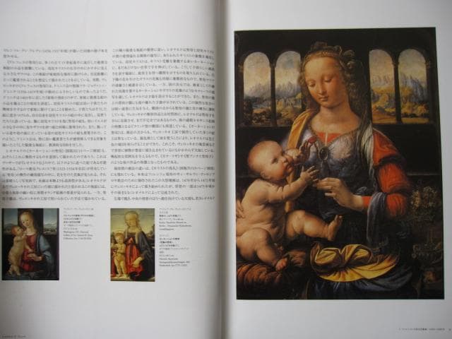 レオナルド・ダ・ヴィンチ 全絵画作品・素描集 1452 1519年