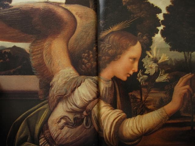 レオナルド・ダ・ヴィンチ 全絵画作品・素描集 1452 1519年