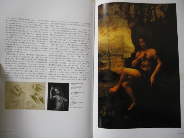 レオナルド・ダ・ヴィンチ 全絵画作品・素描集 1452 1519年