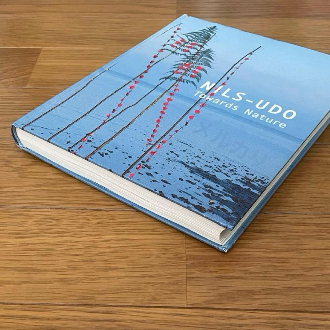 NILS-UDO ニルス・ウド Towards Nature 自然へ 現代美術
