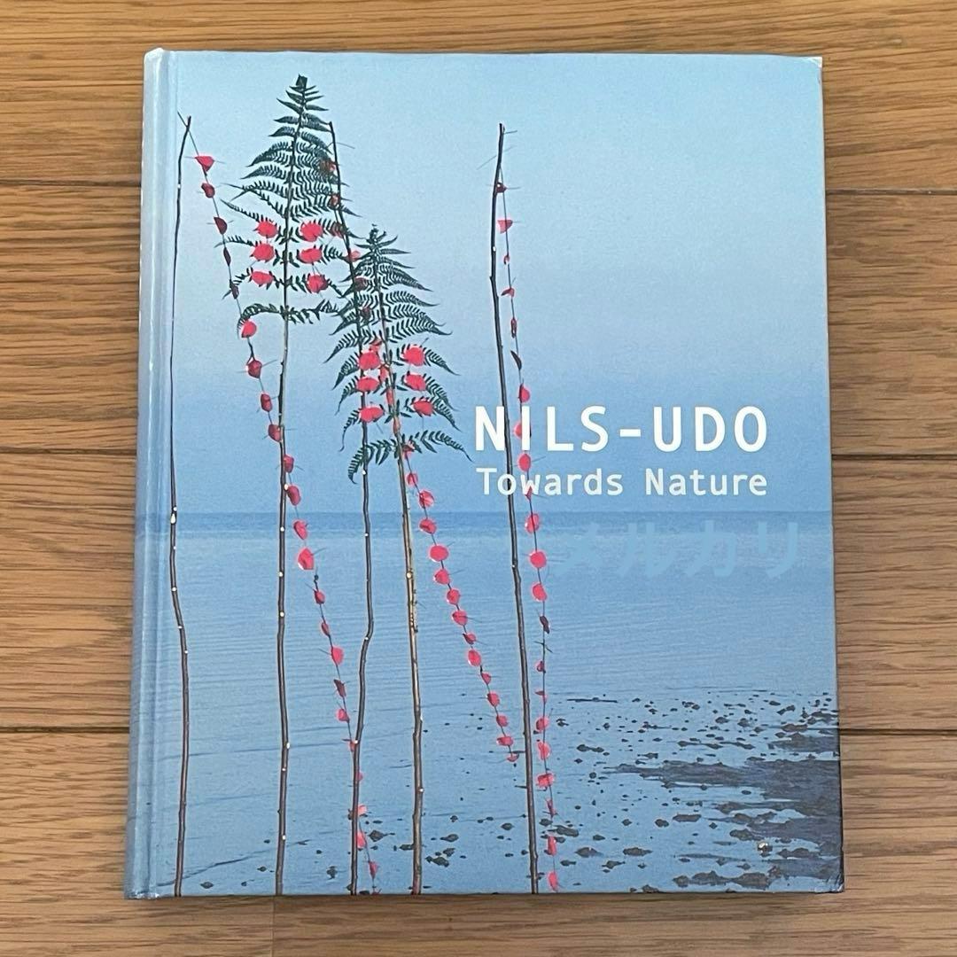NILS-UDO ニルス・ウド Towards Nature 自然へ 現代美術