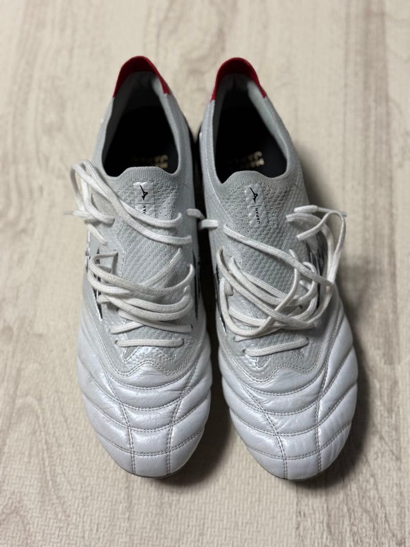 モレリアネオIV β SG MIX