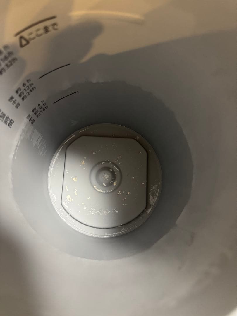 象印 スチーム式加湿器 EE-DE50-WA（ホワイト）2024年度製