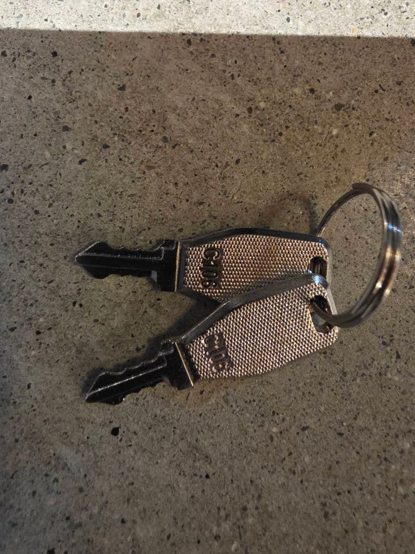 キャンピングキャリー