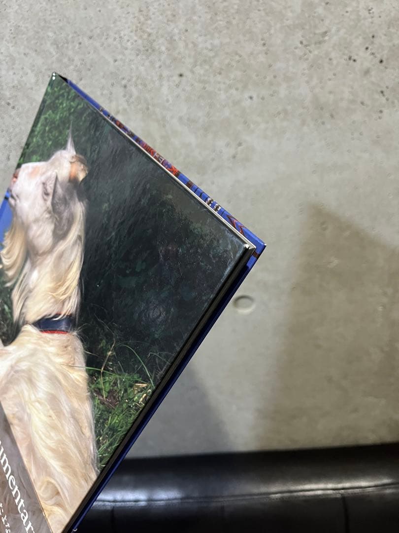 中平卓馬『Documentary』