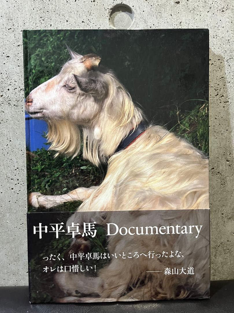 中平卓馬『Documentary』