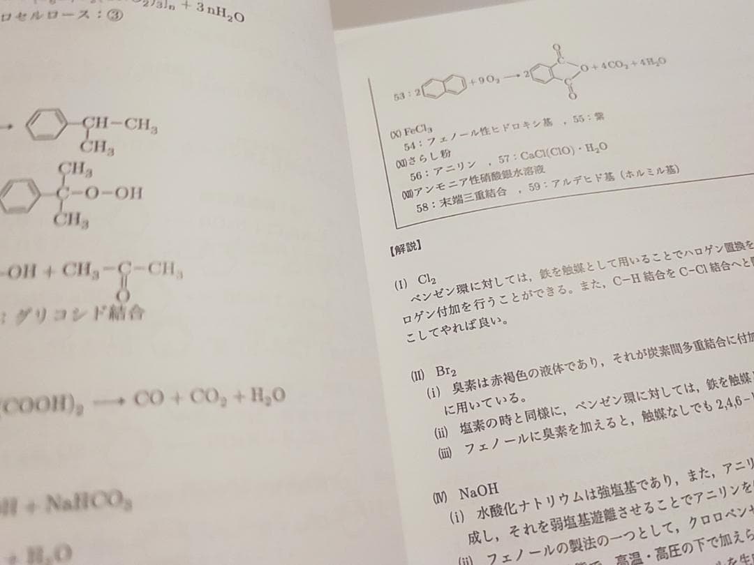 鉄緑会の23年大阪上位クラス理論無機有機化学総合演習冊子フルセット　駿台　河合塾