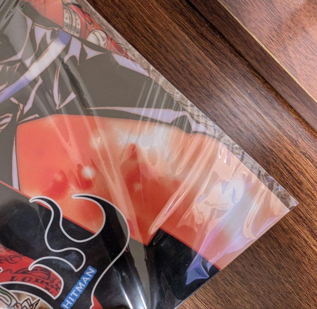 CF2011 限定 A3クリアポスター 家庭教師ヒットマンREBORN 沢田綱吉