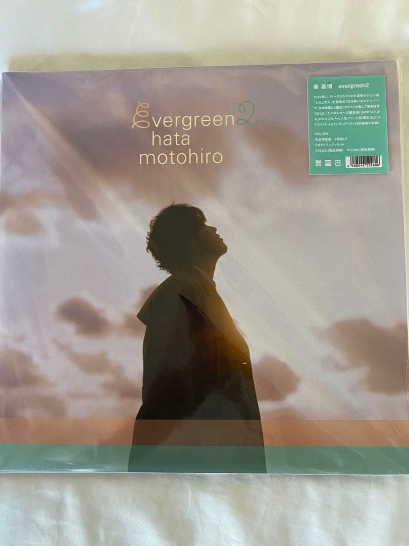 Evergreen2 【秦 基博】アナログLP 3枚組　【ほぼ未使用】