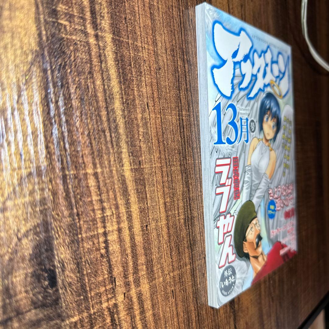 月刊アフタヌーン定期購読特典　アフタヌーン13月号