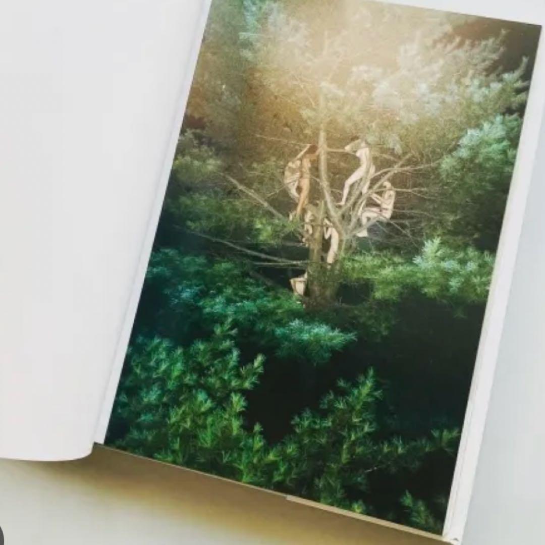 Ryan mcginley ライアン マッギンレー 写真集 you and I