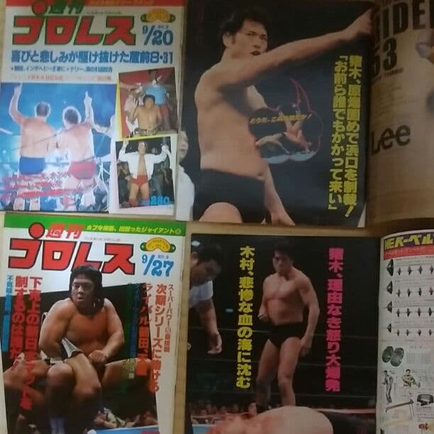 激レア☆1983年週刊プロレス創刊～22（6無し)+9冊