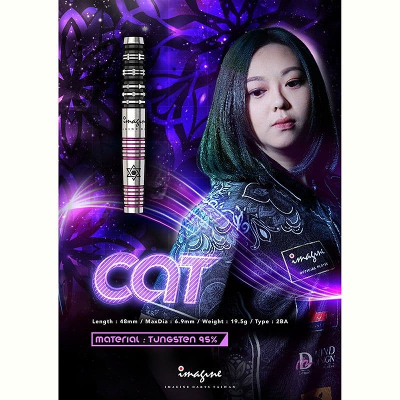 もずく 値下げ️⭕️(イマジンダーツ)CAT2BA Cat Ip