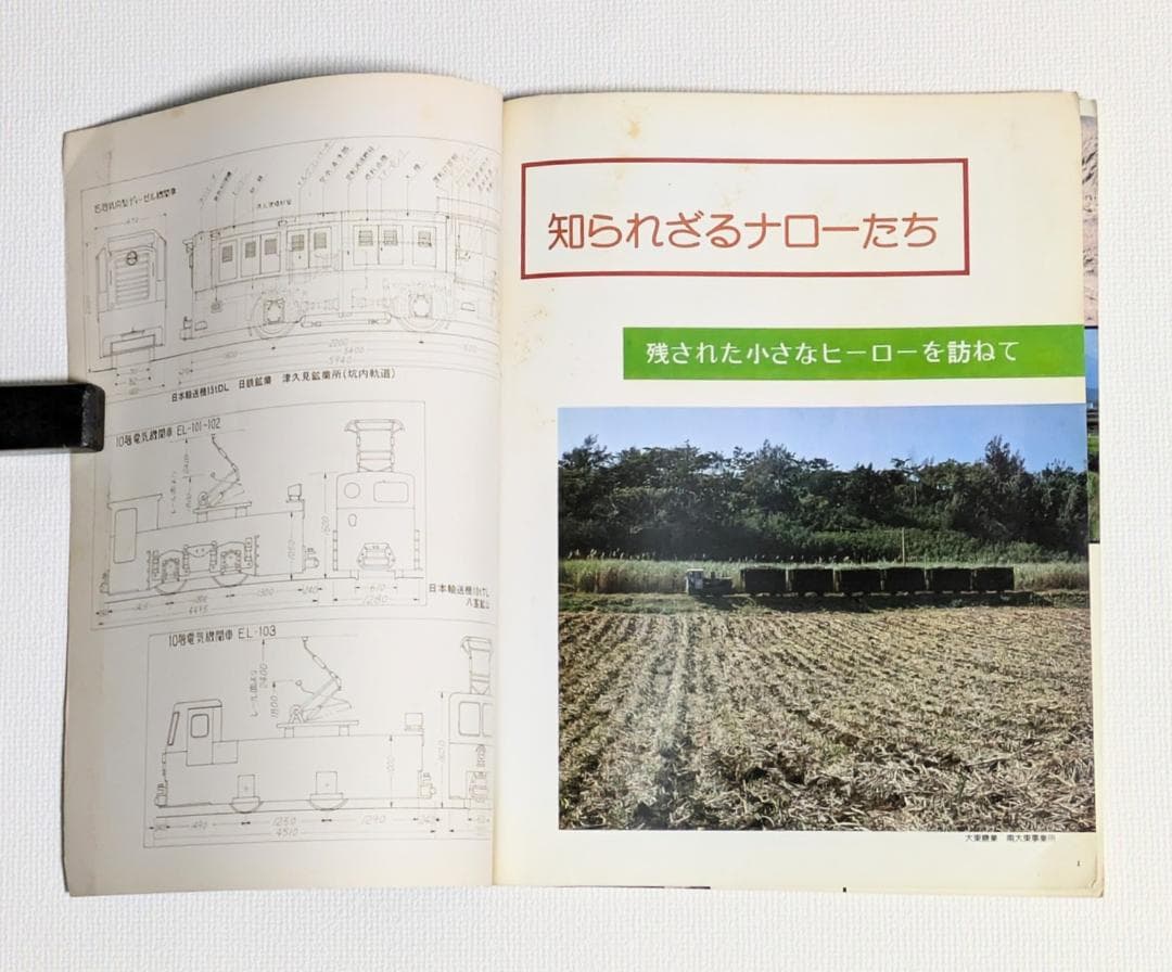 レールガイ別冊 知られざるナローたち