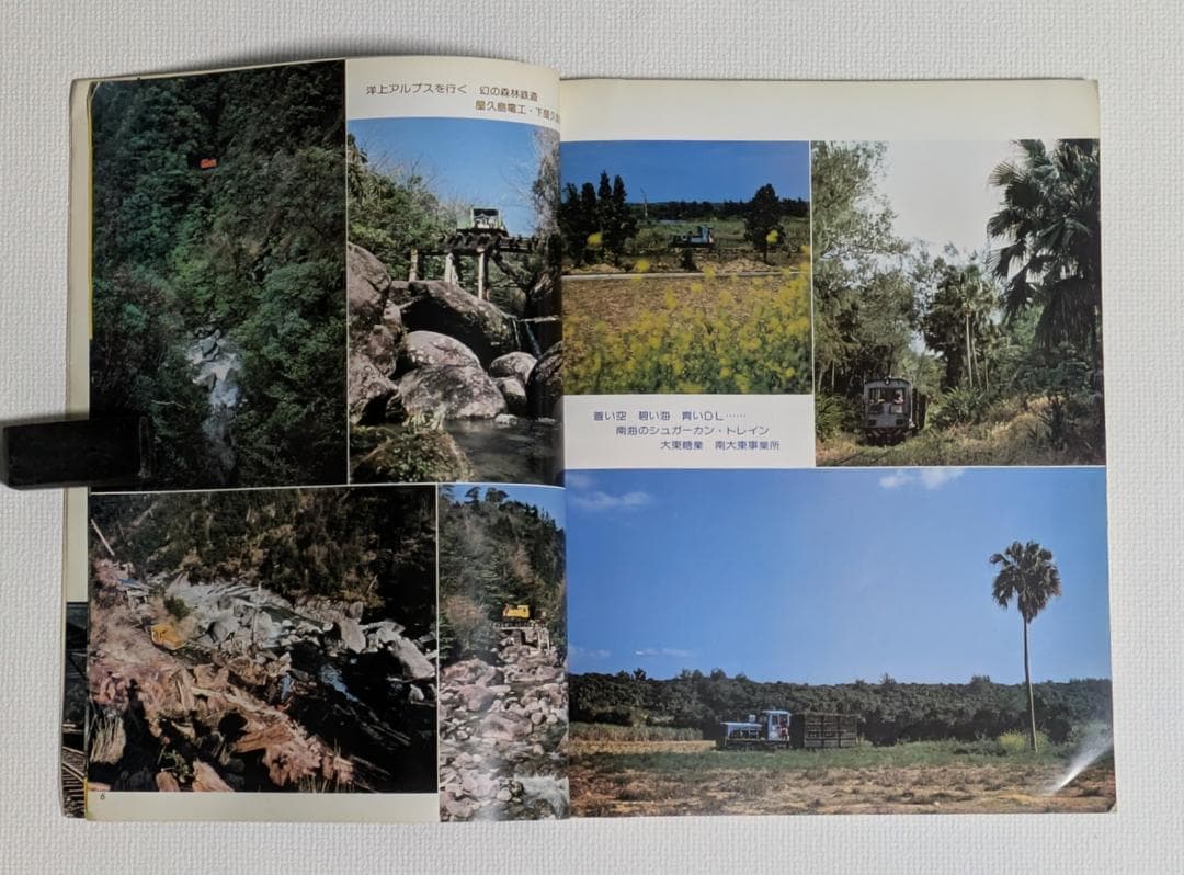 レールガイ別冊 知られざるナローたち