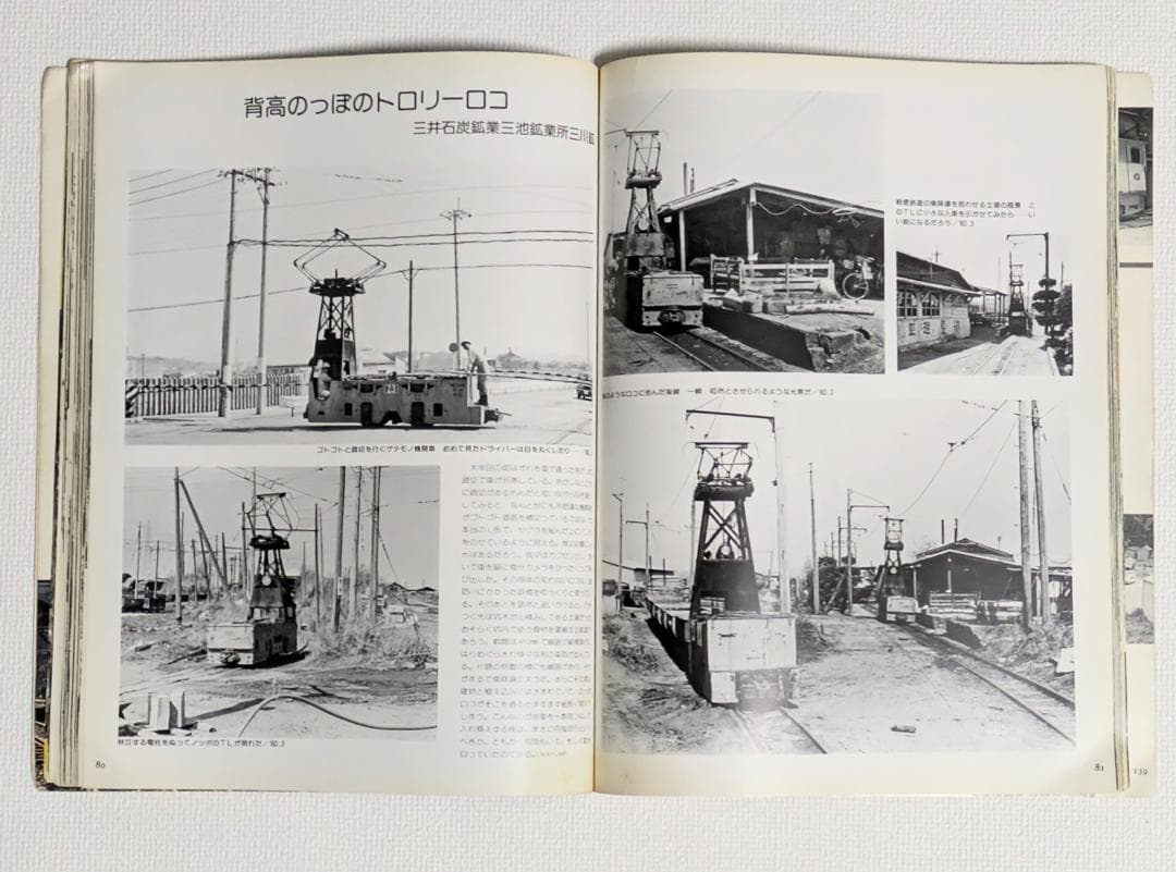 レールガイ別冊 知られざるナローたち