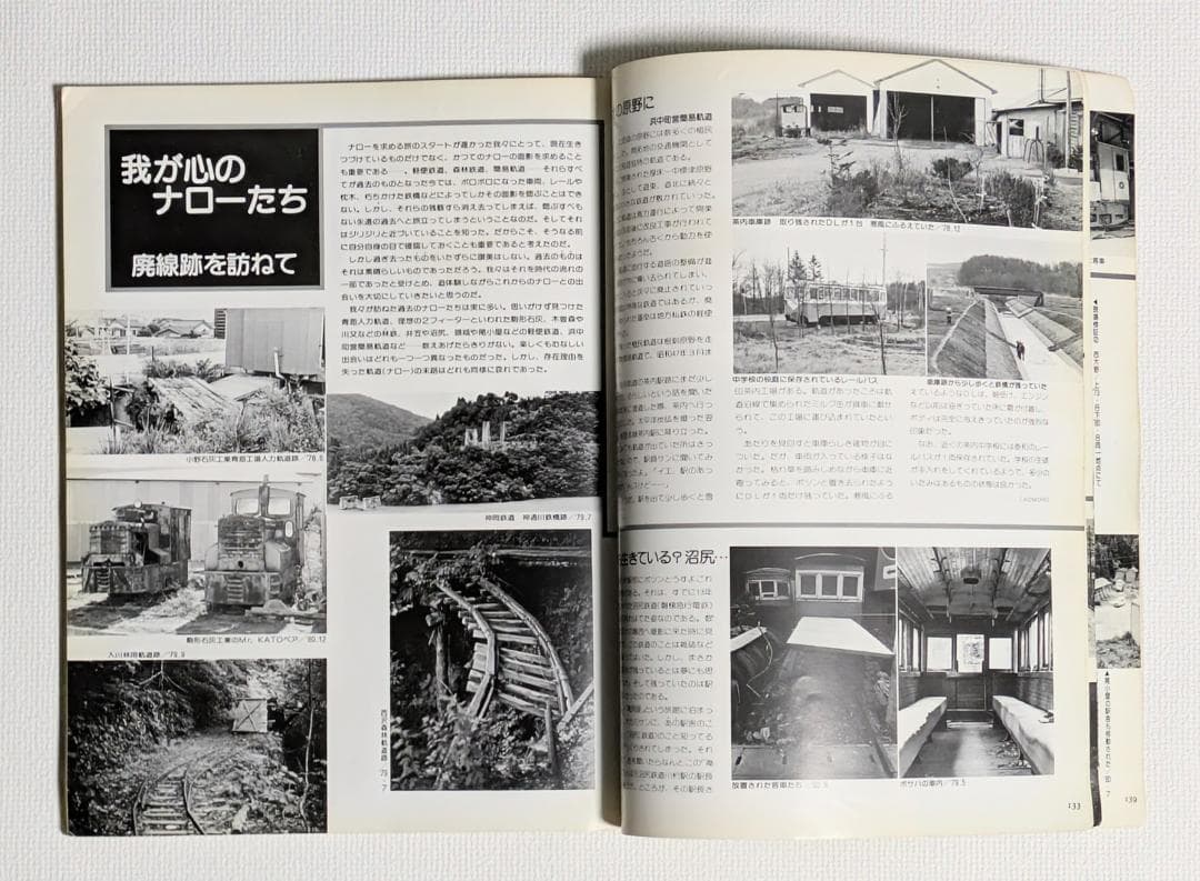 レールガイ別冊 知られざるナローたち