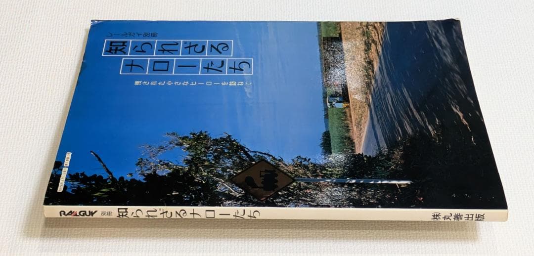 レールガイ別冊 知られざるナローたち