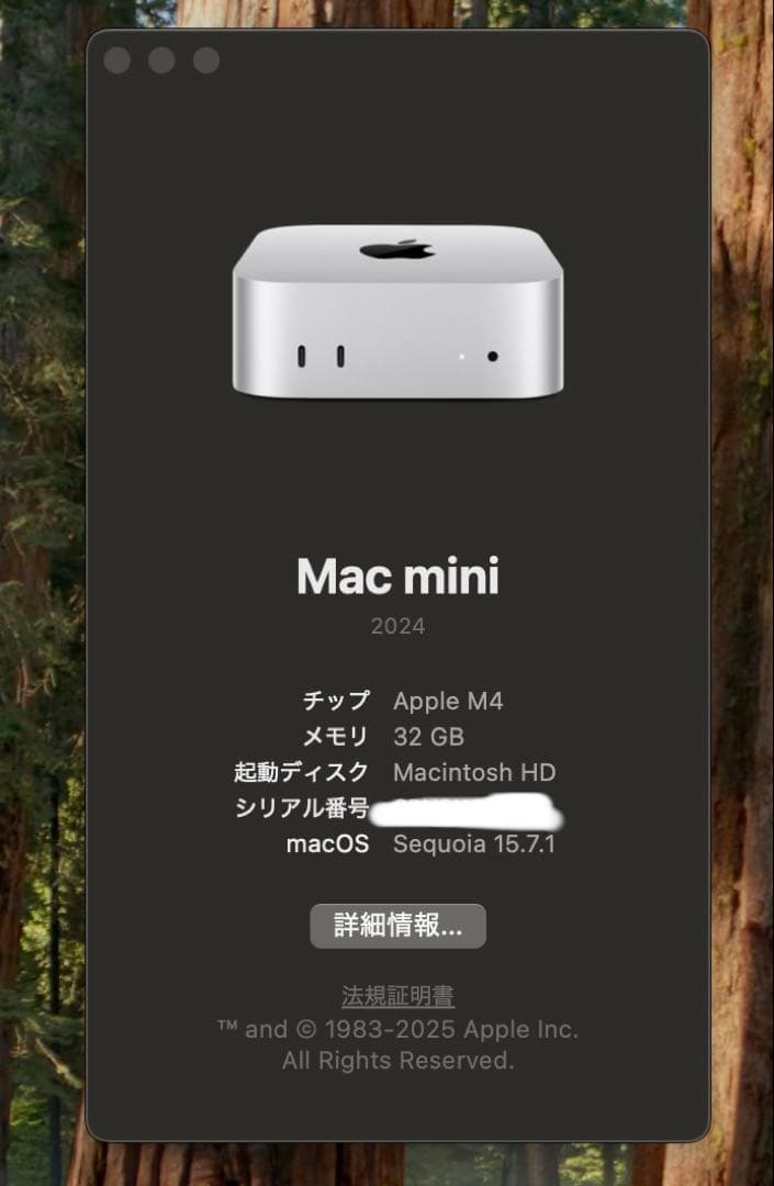 Macデスクトップ M4 mac mini 32GB 256GB model A3238