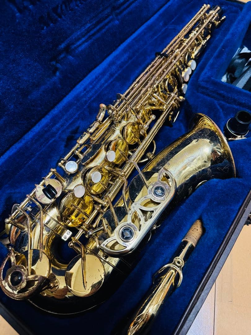 yanagisawa ELIMONA【アルトサックス】