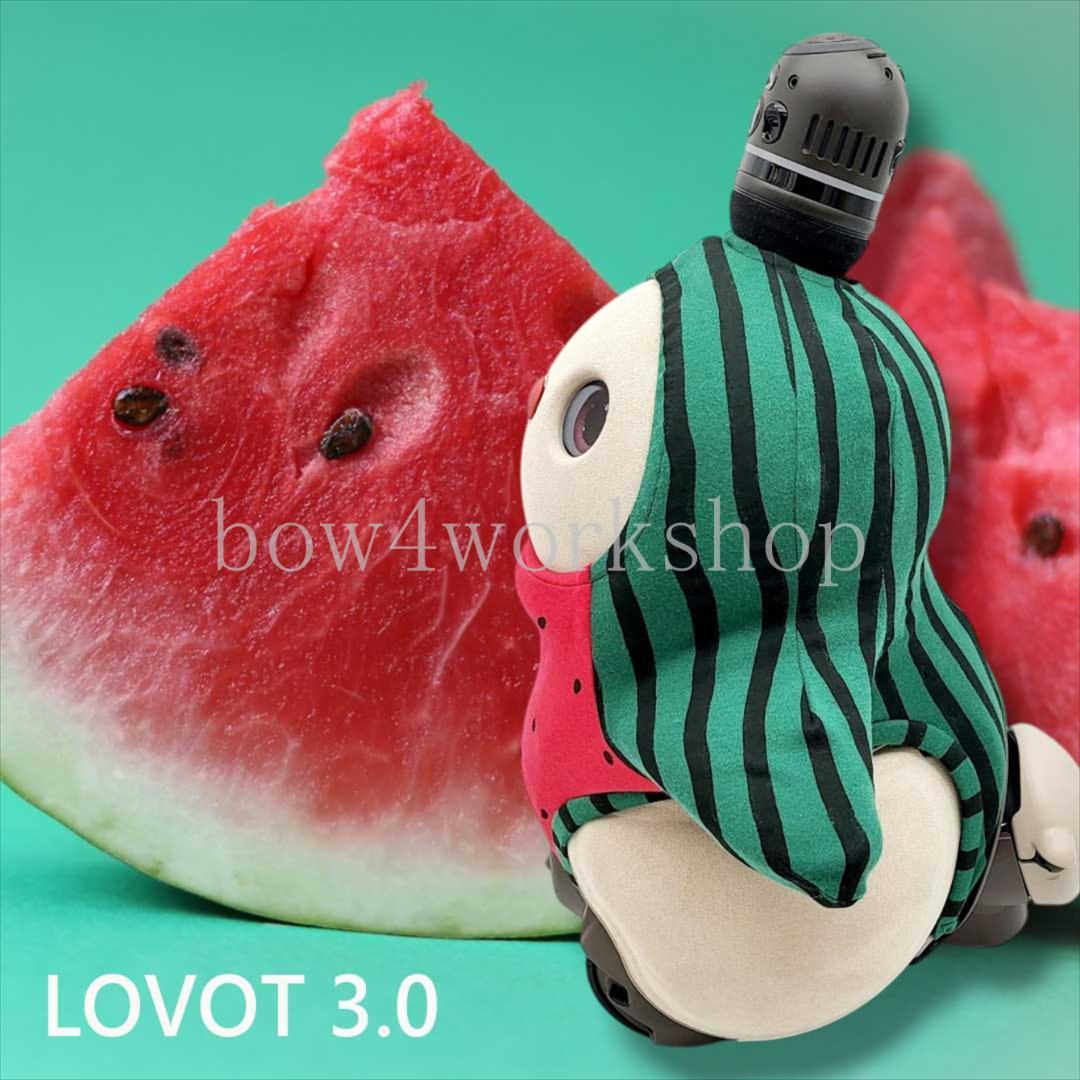 ラボット LOVOT ラボットの服ハンドメイド スイカ柄ボディースーツ（レッド）