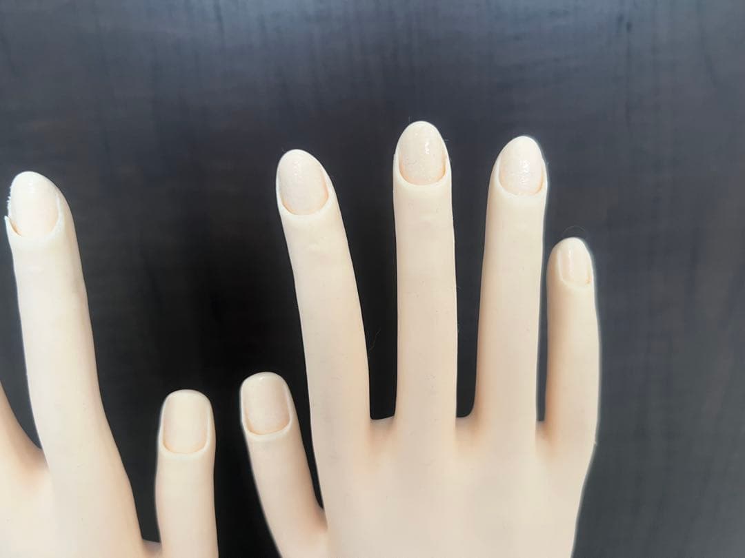 ネイルアート用モデルハンド2本セットとチップ