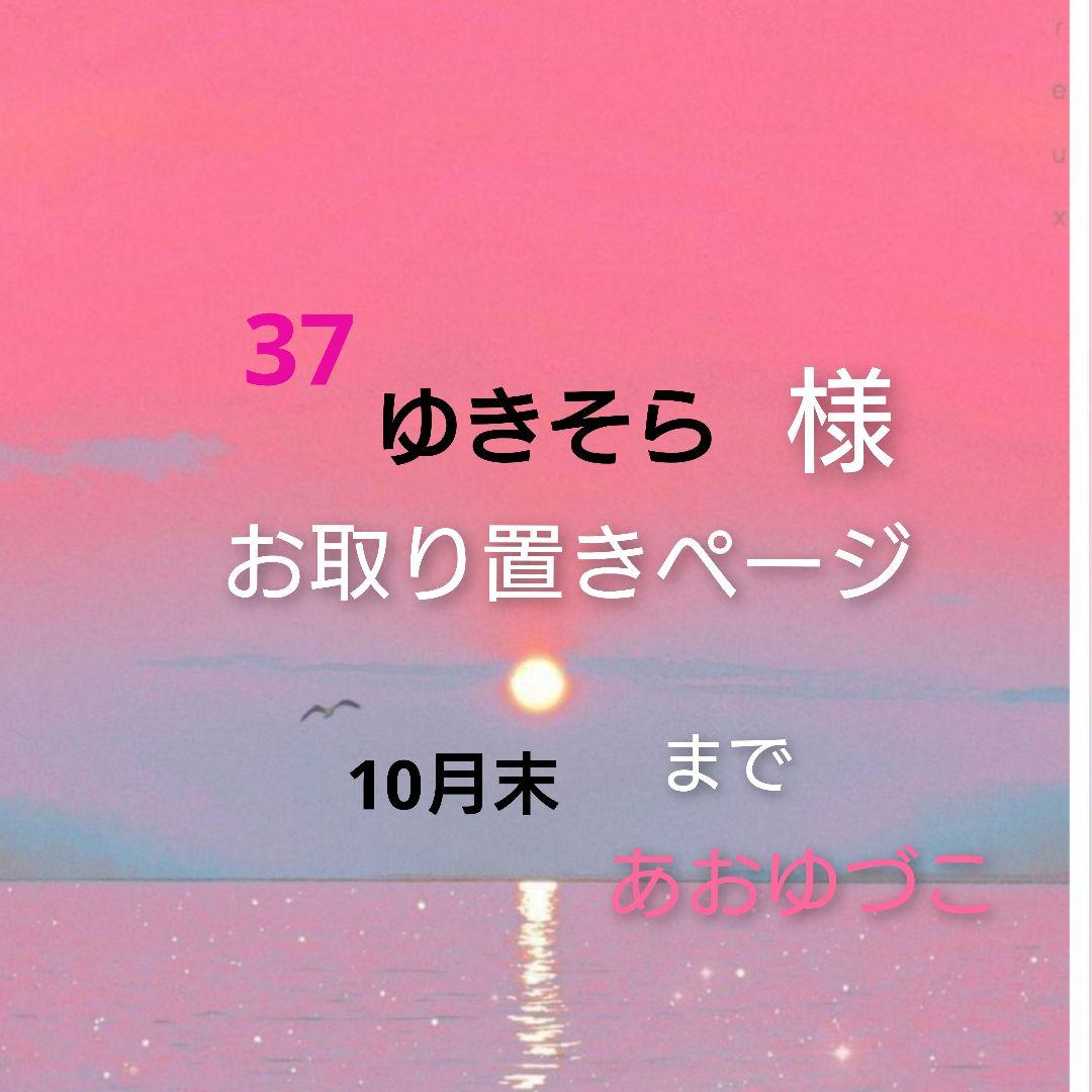 レジン 手書き 猫 うさぎ ヘアゴム ブローチ ポニーフック No.1335