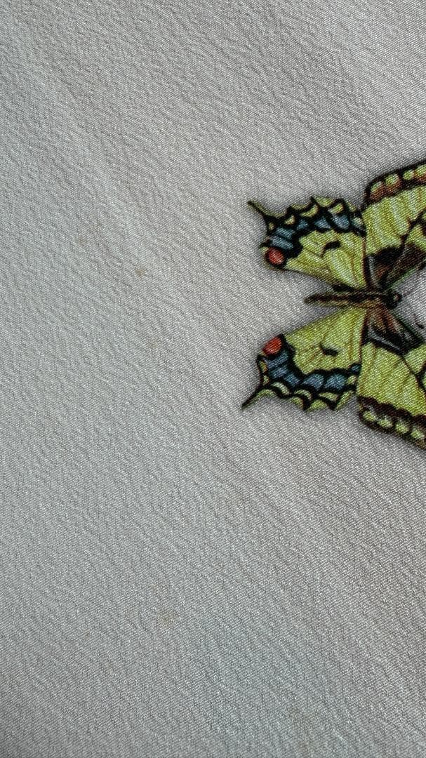 豆千代モダン　訪問着　薔薇と蝶のワルツ