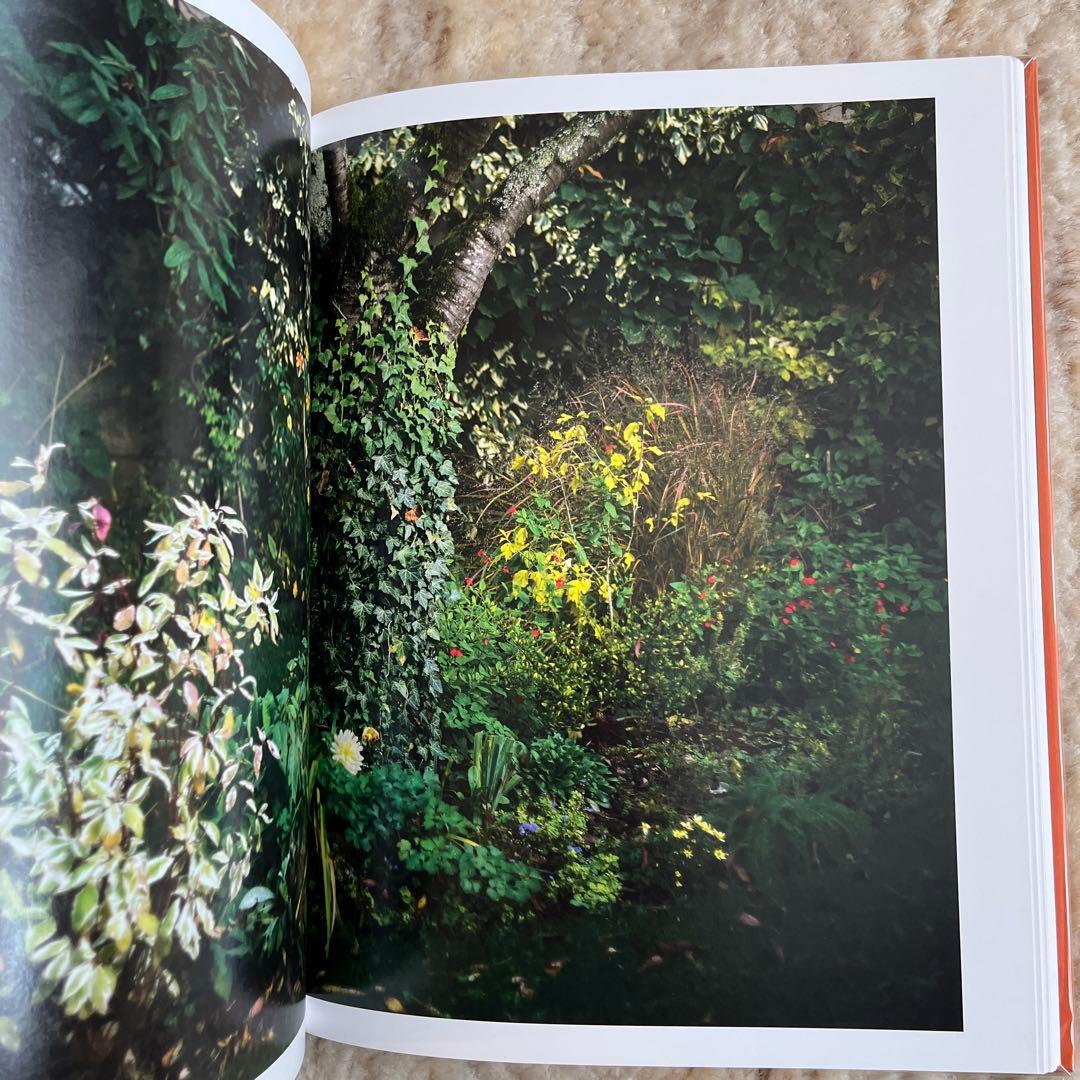 Terri Weifenbach 写真集