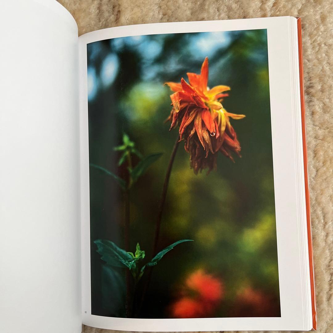 Terri Weifenbach 写真集