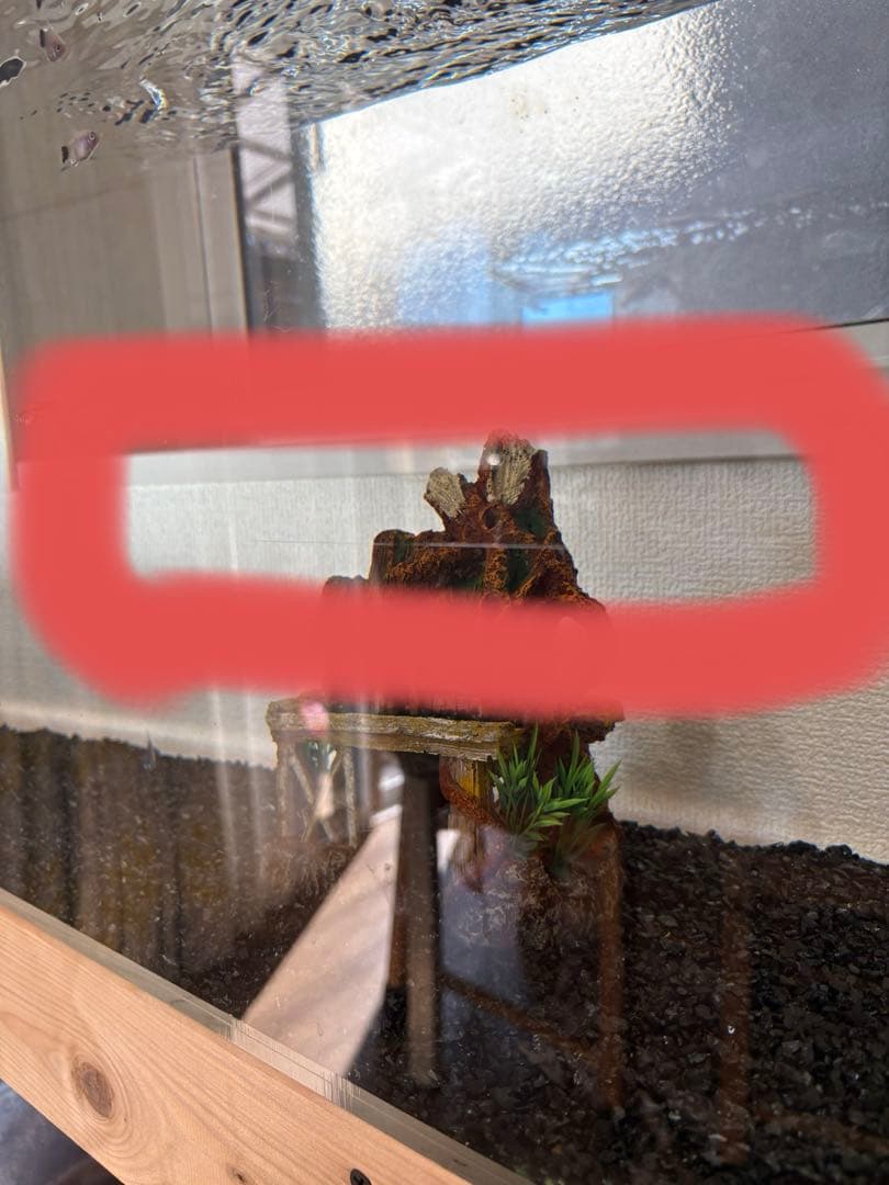 アクリル水槽セット　オーバーフロー