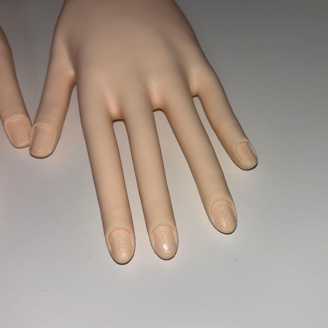 JNEC認定モデルハンド 骨折なし