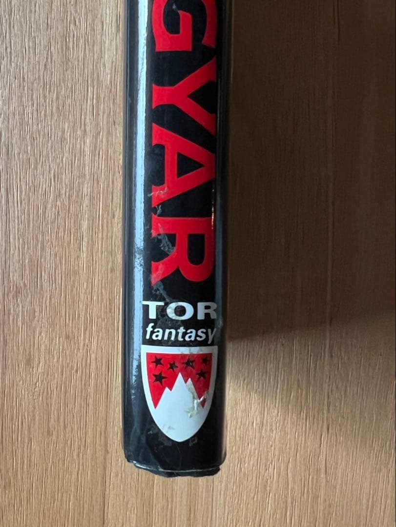 Agyar by Steven Brust 1993 初版 Hardcover