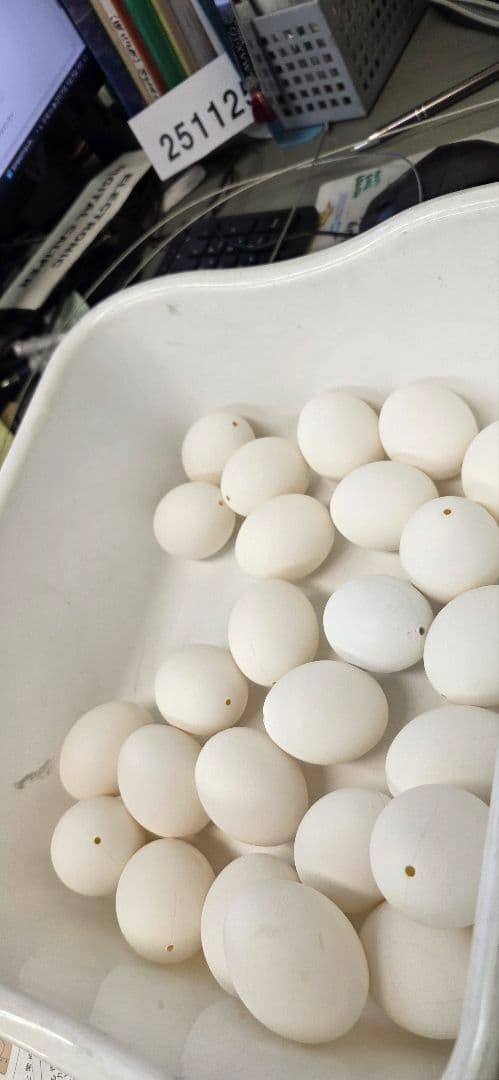 万博 Expoで飾られてたたまご25個×4本＝100個 2025 ミャクミャク