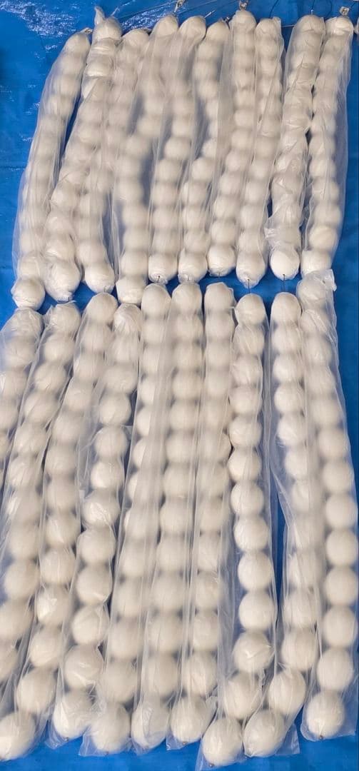 万博 Expoで飾られてたたまご25個×4本＝100個 2025 ミャクミャク