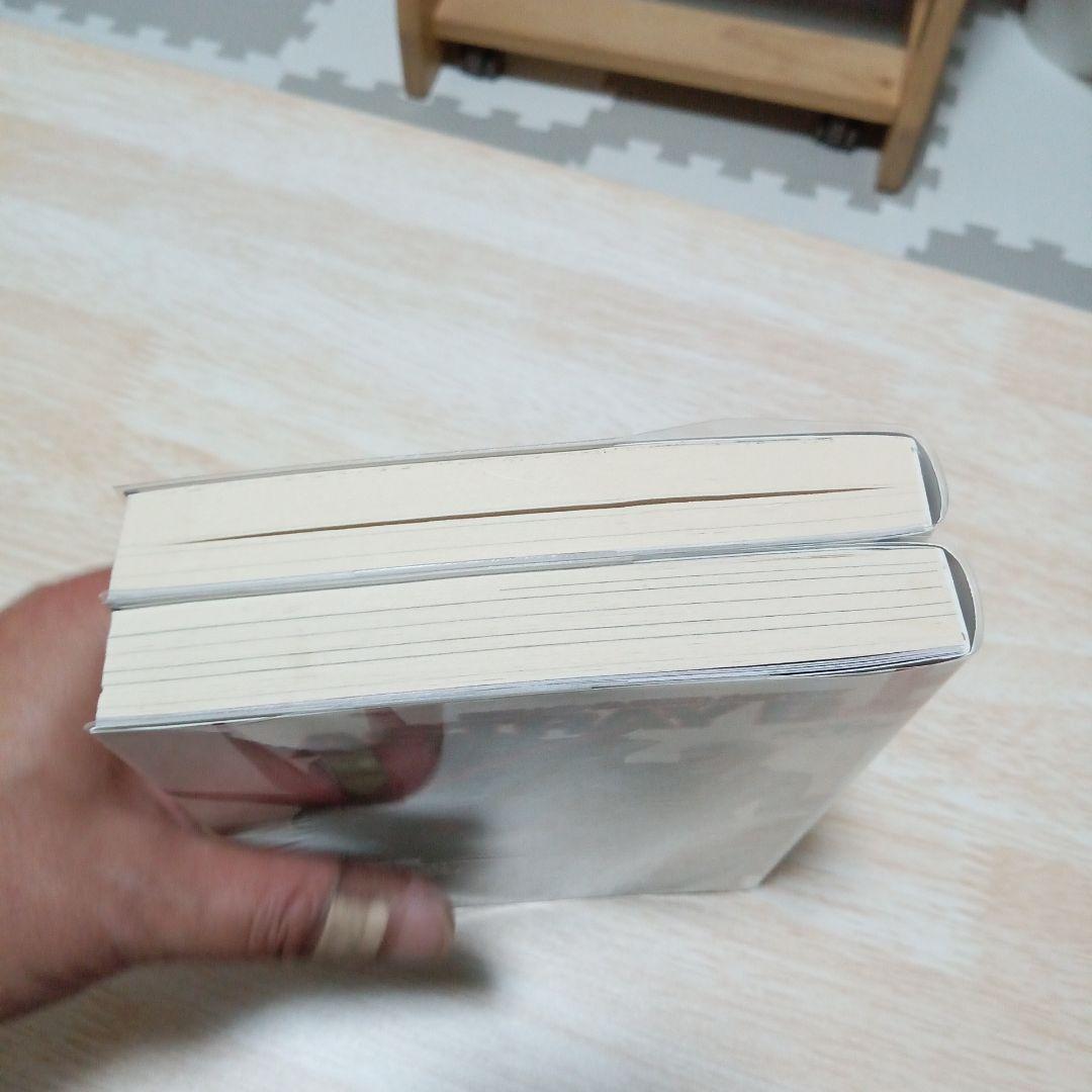 機動戦士ガンダムSEED DESTINY ASTRAY B 　全２巻