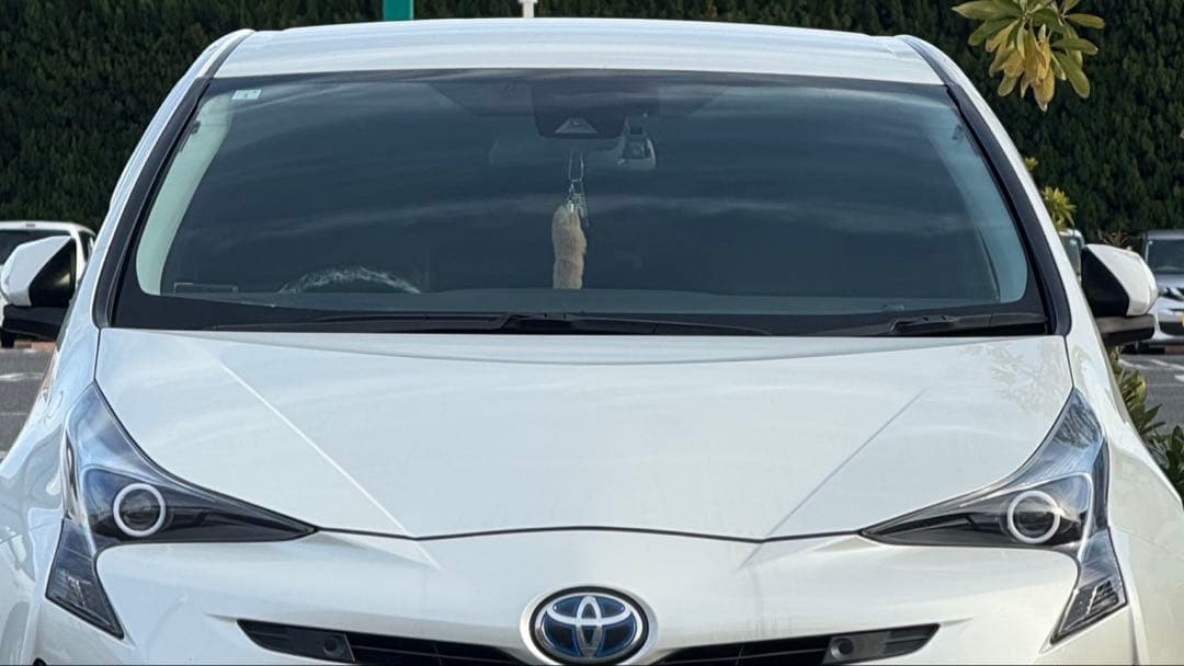 トヨタ プリウス50LEDヘッドライトイカリング ぷりきゅあ