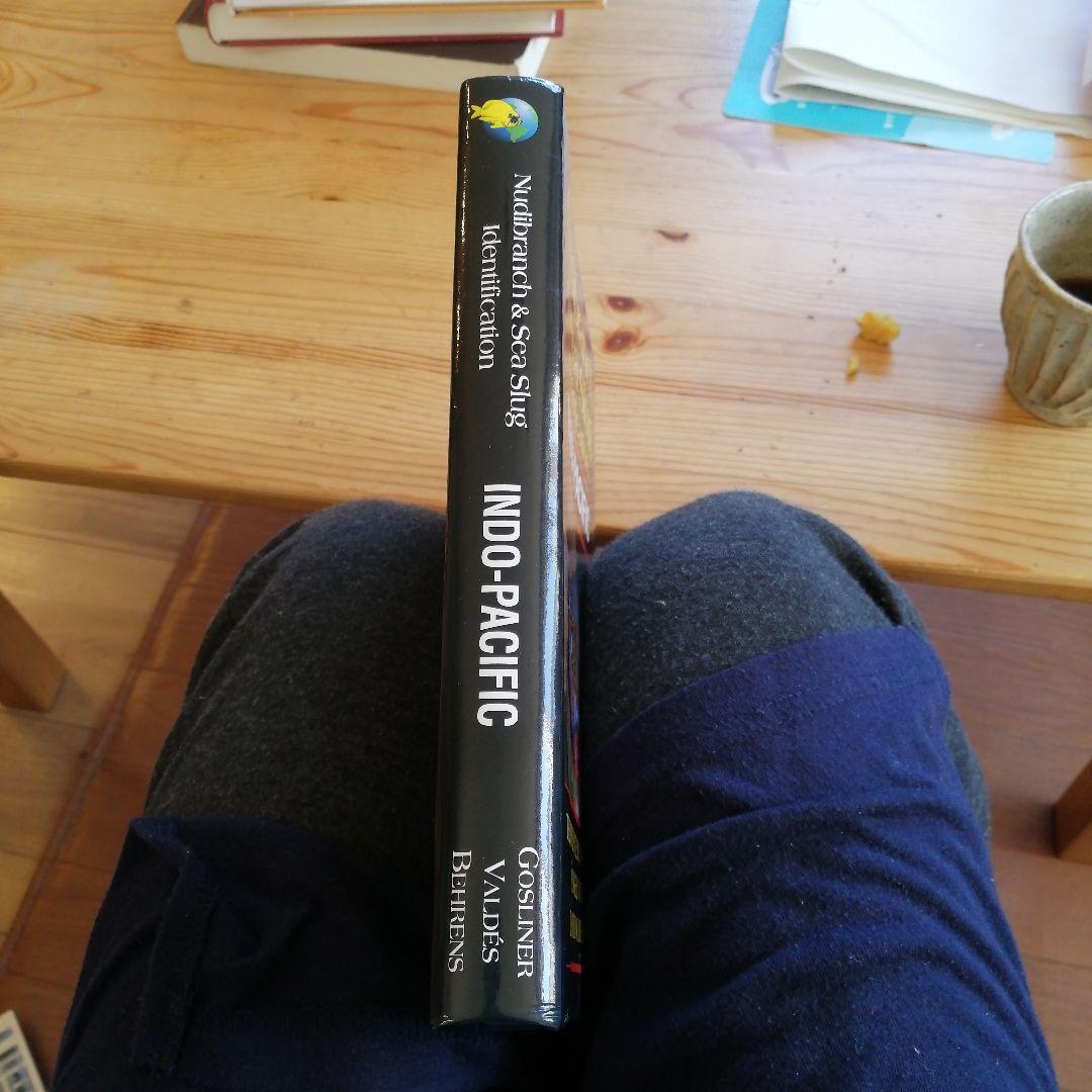 ウミウシガイドブック　洋書　美品　Nudibranchs