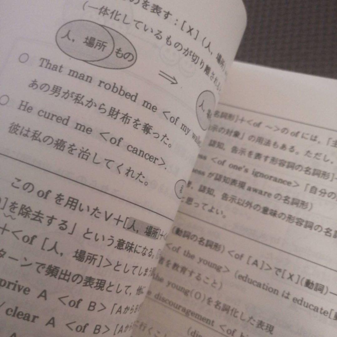 【書込なし・圧巻付録】代ゼミテキスト　早慶上智大英語文法・語法　夏期　佐々木和彦