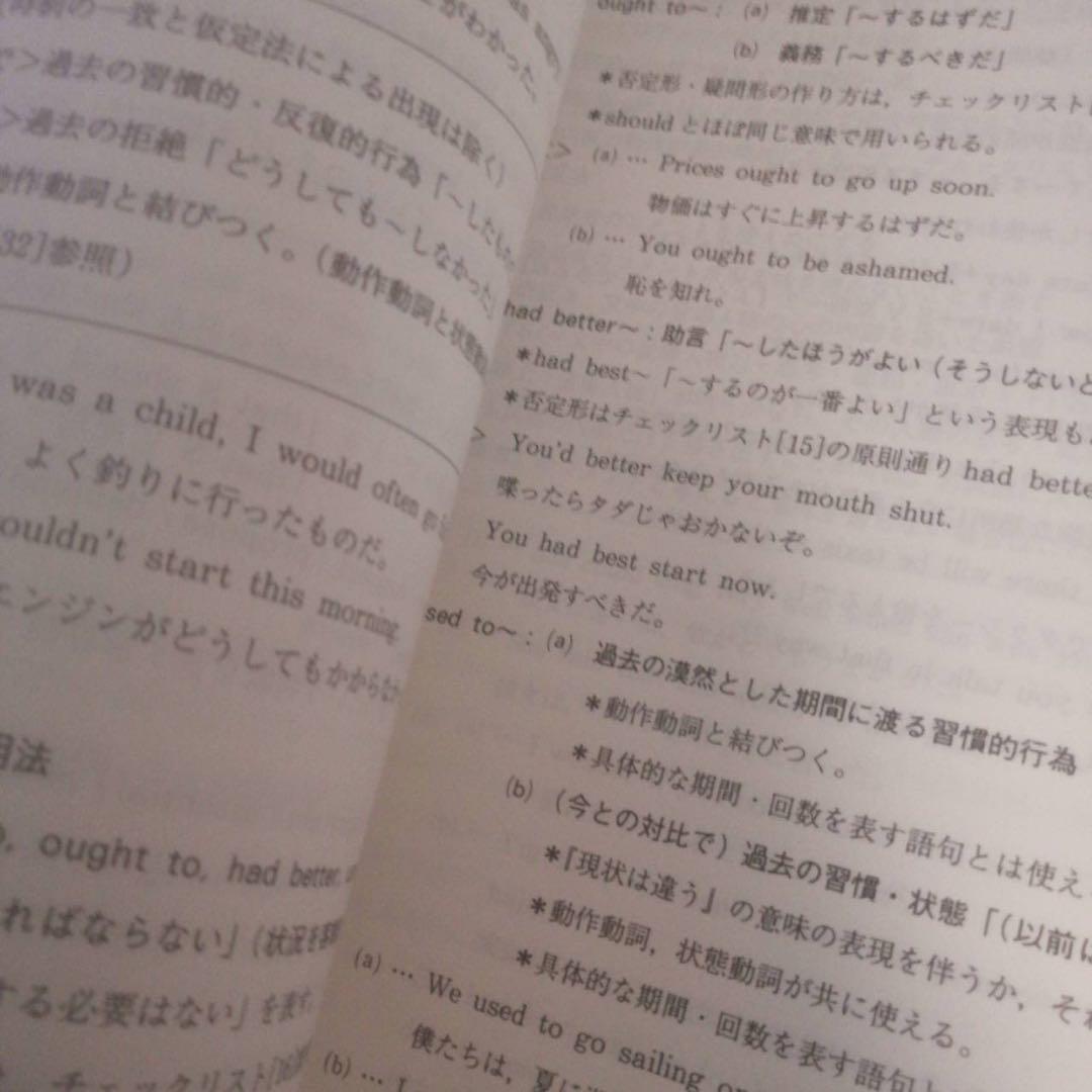 【書込なし・圧巻付録】代ゼミテキスト　早慶上智大英語文法・語法　夏期　佐々木和彦